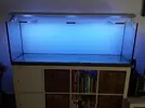 [TodoMarino.com] aquascaping 360 litros desde cero