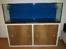 [TodoMarino.com] aquascaping 360 litros desde cero
