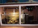 [TodoMarino.com] aquascaping 360 litros desde cero
