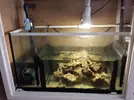 [TodoMarino.com] aquascaping 360 litros desde cero