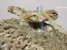 [TodoMarino.com] aquascaping 360 litros desde cero