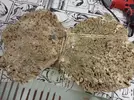 [TodoMarino.com] aquascaping 360 litros desde cero