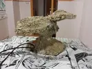 [TodoMarino.com] aquascaping 360 litros desde cero