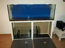 [TodoMarino.com] aquascaping 360 litros desde cero