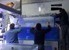 [TodoMarino.com] Mota's REEF