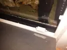[TodoMarino.com] aquascaping 360 litros desde cero