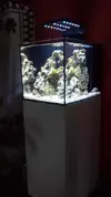 [TodoMarino.com] Acuario Marino, Cubicus CF de Aqua Medic, Dudas y problemas