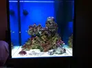 [TodoMarino.com] Diario de mi primer marino. Cubo 150 lt