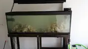 [TodoMarino.com] Ampliación de 500 a 1000l+sump paso a paso