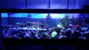 [TodoMarino.com] Ampliación de 500 a 1000l+sump paso a paso