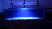 [TodoMarino.com] Ampliación de 500 a 1000l+sump paso a paso
