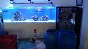 [TodoMarino.com] Ampliación de 500 a 1000l+sump paso a paso