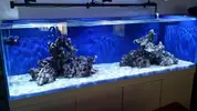 [TodoMarino.com] Ampliación de 500 a 1000l+sump paso a paso
