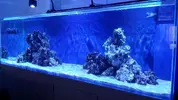 [TodoMarino.com] Ampliación de 500 a 1000l+sump paso a paso