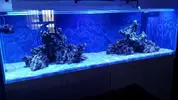 [TodoMarino.com] Ampliación de 500 a 1000l+sump paso a paso