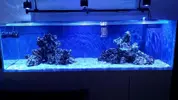 [TodoMarino.com] Ampliación de 500 a 1000l+sump paso a paso