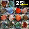 [TodoMarino.com] 25% DESCUENTO en Stendker :)