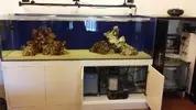 [TodoMarino.com] Ampliación de 500 a 1000l+sump paso a paso