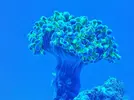 [TodoMarino.com] aquascaping 360 litros desde cero