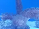 [TodoMarino.com] aquascaping 360 litros desde cero