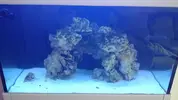 [TodoMarino.com] Taller Usuarios RED SEA MAX