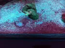 [TodoMarino.com] Metodo Rainbow