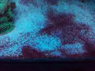 [TodoMarino.com] Metodo Rainbow