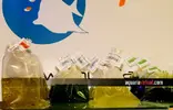 [TodoMarino.com] Nueva llegada de alimento vivo!