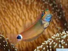 [TodoMarino.com] aquascaping 360 litros desde cero
