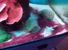 [TodoMarino.com] Metodo Rainbow