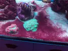 [TodoMarino.com] Metodo Rainbow