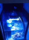 [TodoMarino.com] Open reef blau 91 litros ¿cuantos somos ?