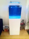 [TodoMarino.com] Open reef blau 91 litros ¿cuantos somos ?