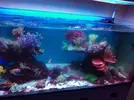 [TodoMarino.com] Metodo Rainbow