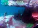 [TodoMarino.com] Metodo Rainbow