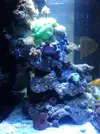 [TodoMarino.com] Taller Usuarios RED SEA MAX
