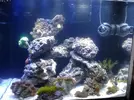 [TodoMarino.com] Taller Usuarios RED SEA MAX
