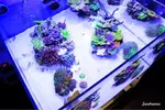 [TodoMarino.com] .....:::::::: Seadreams :::::::::.....