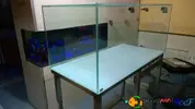[TodoMarino.com] °◦Ｄｒｅｗｓʏᴇᴀʜℛℯℯℱ