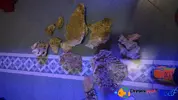 [TodoMarino.com] °◦Ｄｒｅｗｓʏᴇᴀʜℛℯℯℱ