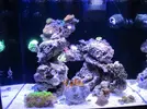 [TodoMarino.com] Taller Usuarios RED SEA MAX