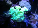 [TodoMarino.com] Taller Usuarios RED SEA MAX
