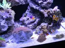 [TodoMarino.com] Taller Usuarios RED SEA MAX