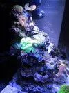 [TodoMarino.com] Taller Usuarios RED SEA MAX