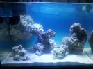 [TodoMarino.com] Fondo Acuario Marino
