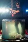 [TodoMarino.com] Acuario de medusas Gigante, en El Hormiguero