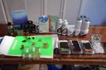 [TodoMarino.com] Taller Komodo Reef. ALIMENTACIÓN
