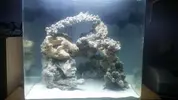 [TodoMarino.com] Al fin!!!Os presento mi acuario 90L