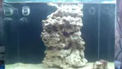 [TodoMarino.com] "The Chan reef" (primer marino,nano reef)