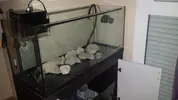 [TodoMarino.com] Proyecto Uno